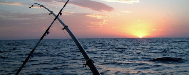 Pescando al atardecer